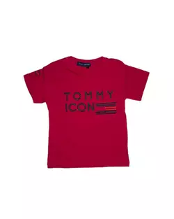 Футболка бренд Tommy хлоп. Бордовий 7047
